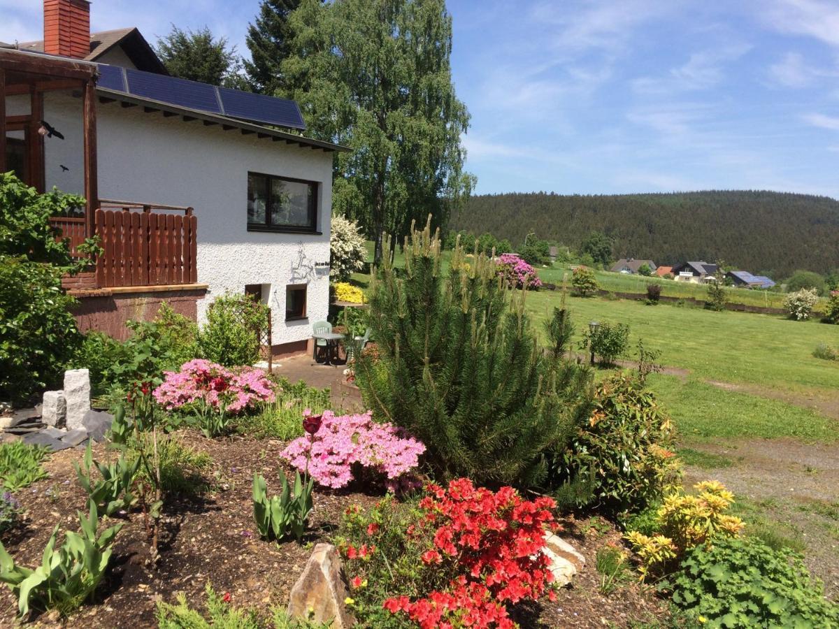 Haus Am Wald - Urlaub Am Nationalpark Apartment Langweiler  Exterior foto
