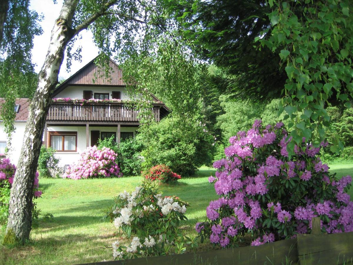 Haus Am Wald - Urlaub Am Nationalpark Apartment Langweiler  Exterior foto